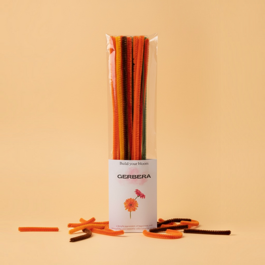 DIY Gerbera Kit