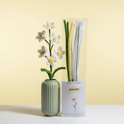 DIY Daisy Kit