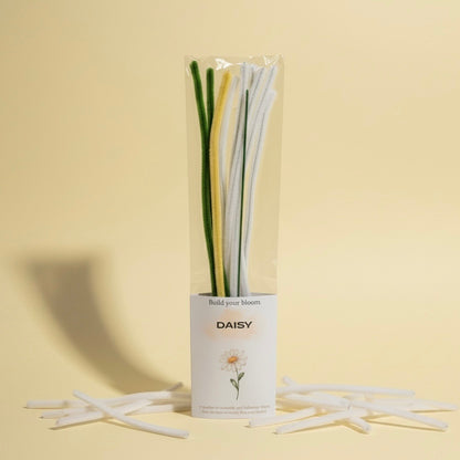 DIY Daisy Kit