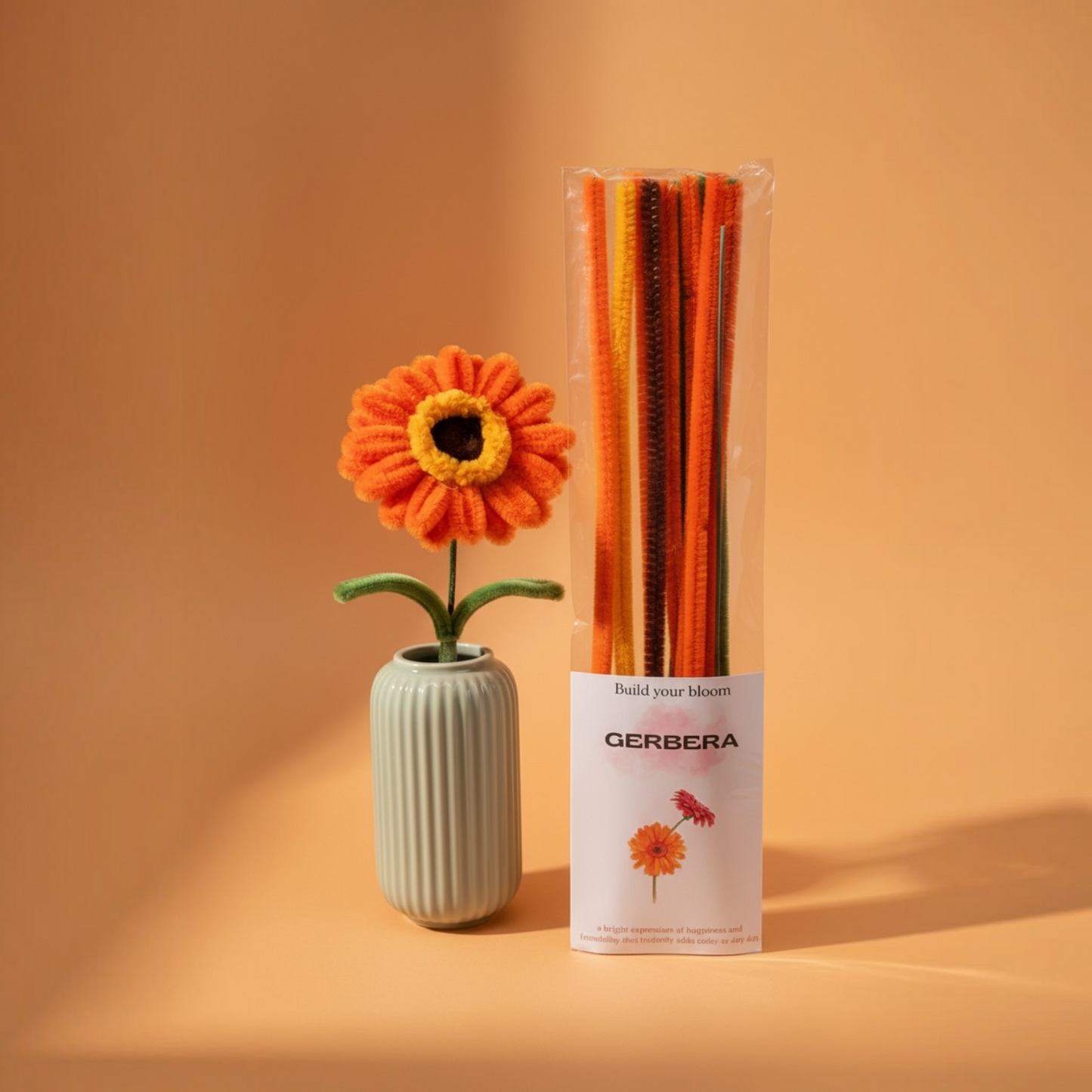 DIY Gerbera Kit
