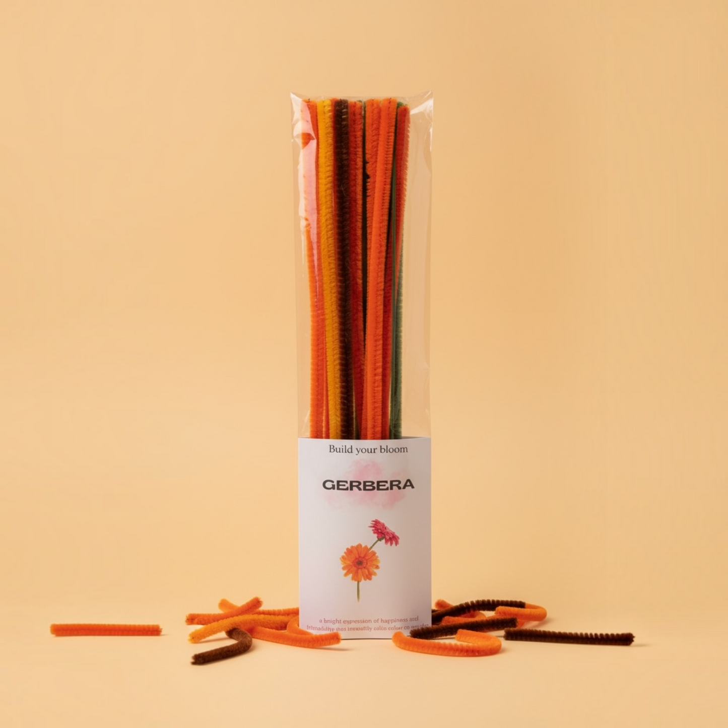 DIY Gerbera Kit