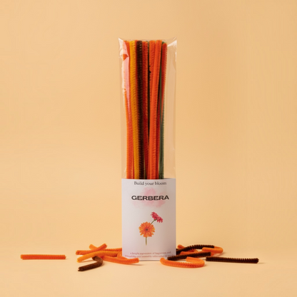 DIY Gerbera Kit